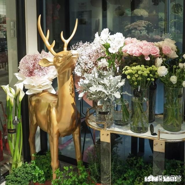 上海有哪些适合女生拍照的咖啡店