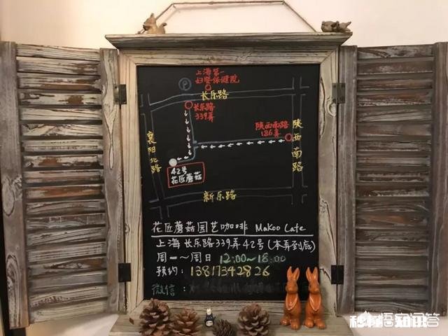 上海有哪些适合女生拍照的咖啡店