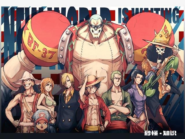 为什么海贼王的剧情这么慢