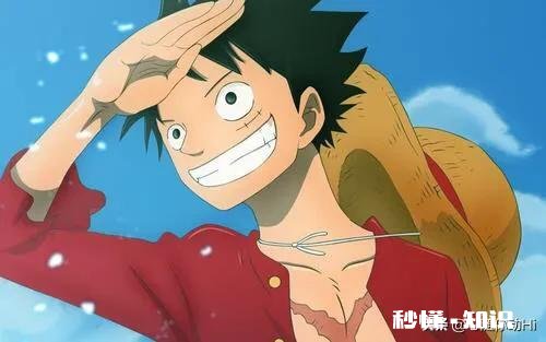 为什么海贼王的剧情这么慢