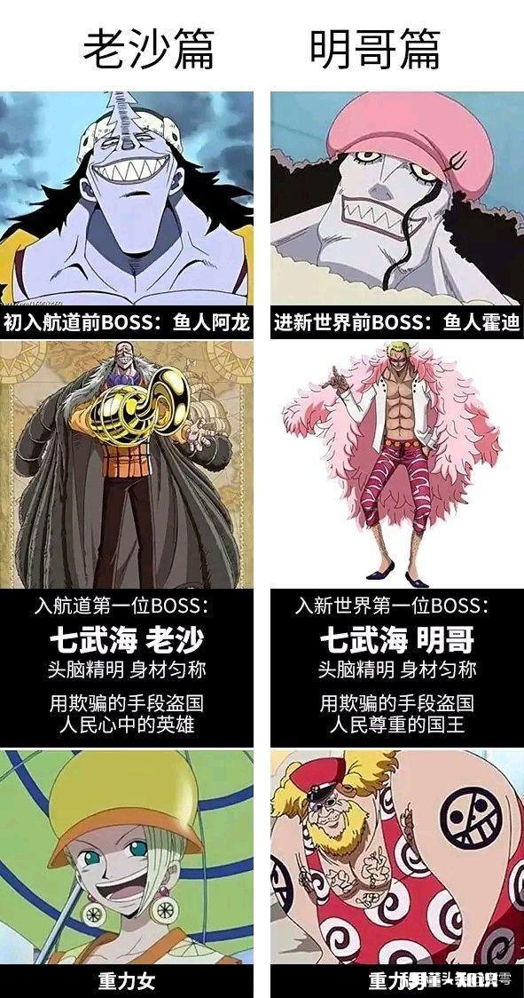 为什么海贼王的剧情这么慢