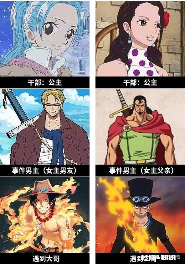 为什么海贼王的剧情这么慢