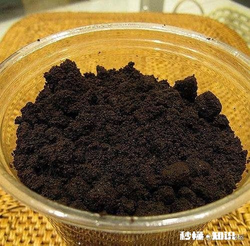 咖啡渣可以给红枫施肥吗如何