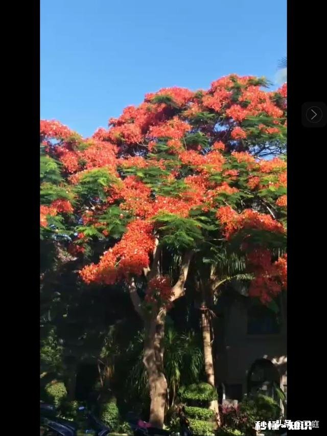 农民建楼底基的商混灰岀了问题。该承担什么责任