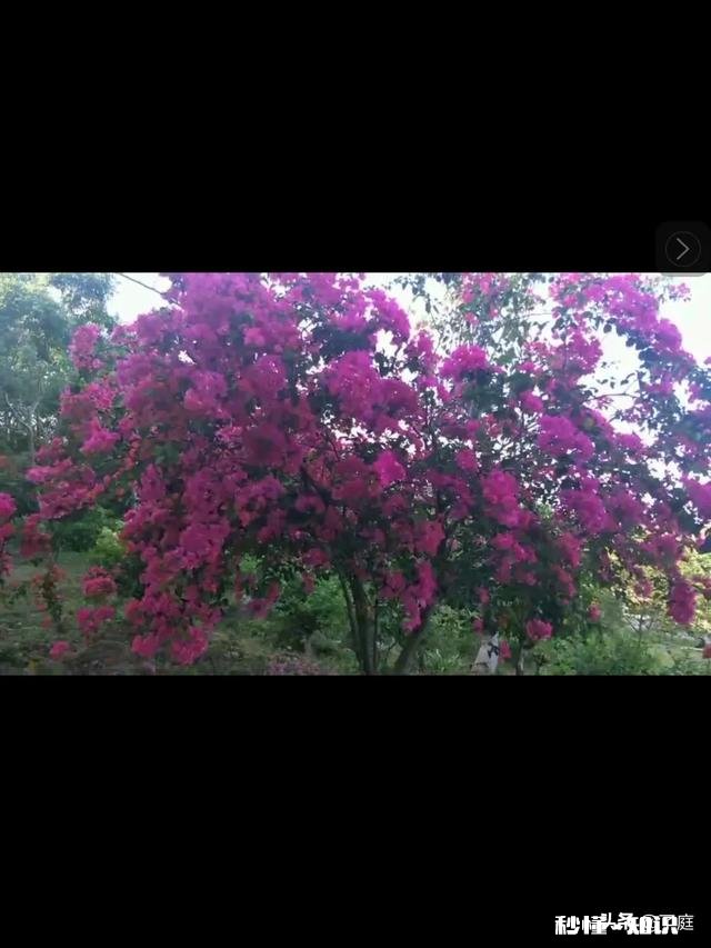 农民建楼底基的商混灰岀了问题。该承担什么责任