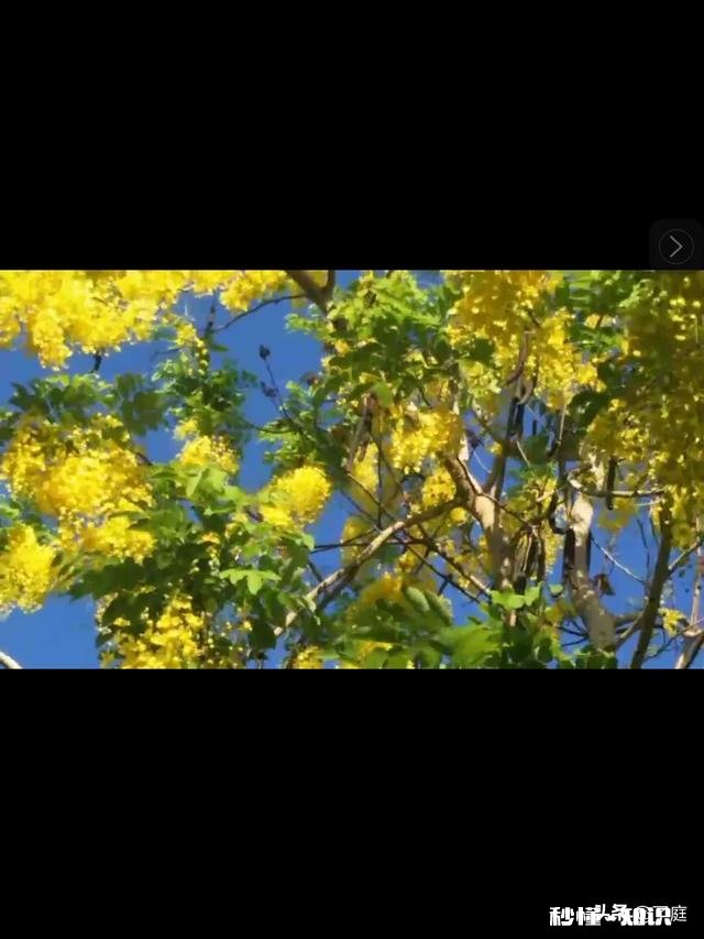 农民建楼底基的商混灰岀了问题。该承担什么责任