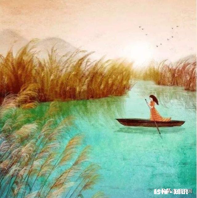 现代诗怎么点评应注意什么