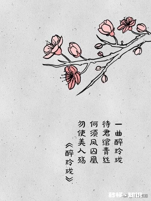 现代诗怎么点评应注意什么