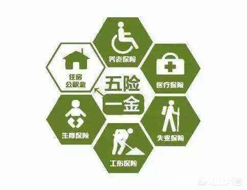 明年社保由税务部门收缴,网传有人工资会减少,这是真的吗