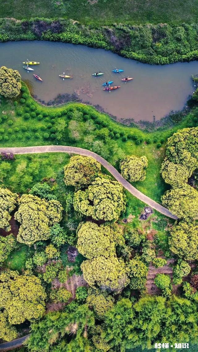 女儿想考编制，现在在代课，是边代课考呢还是上全封闭班呢