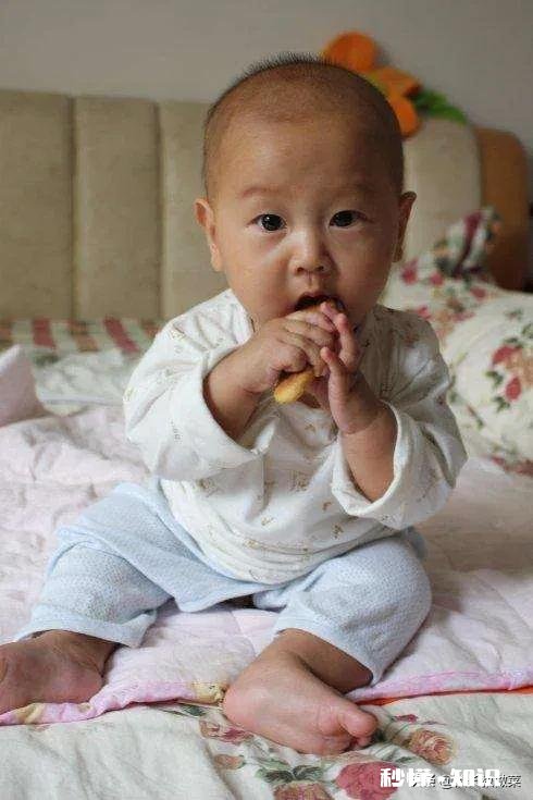 小孩子吃的饼干该怎么做