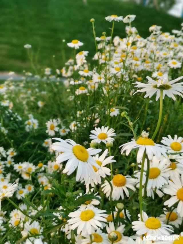 面对取舍,我们该如何选择