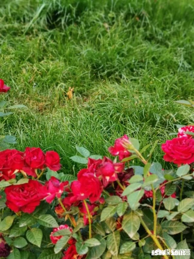 面对取舍,我们该如何选择