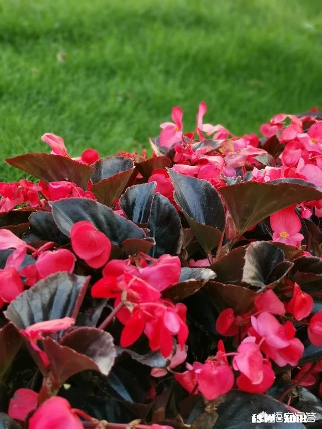 面对取舍,我们该如何选择