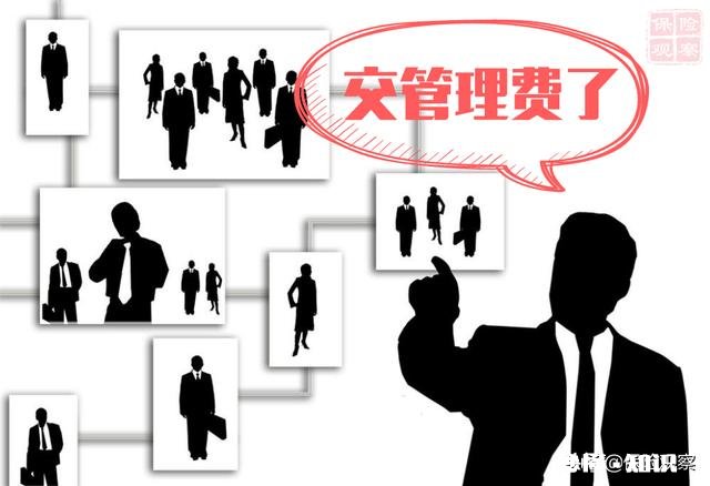 大家一起众筹一个不坑人的保险公司有多大的可能