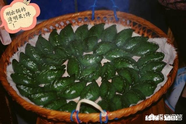 下图这是什么草