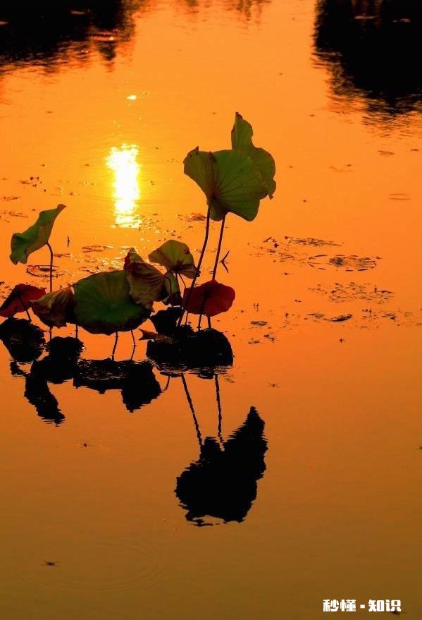 注册制下，选股的逻辑究竟该如何调整