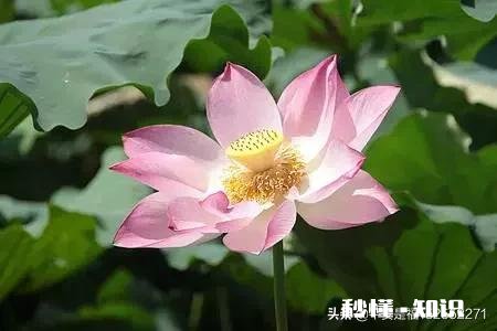 立春了,农村俗语,打春要起床,别在炕上藏,为什么这么说