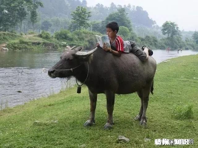 立春了,农村俗语,打春要起床,别在炕上藏,为什么这么说