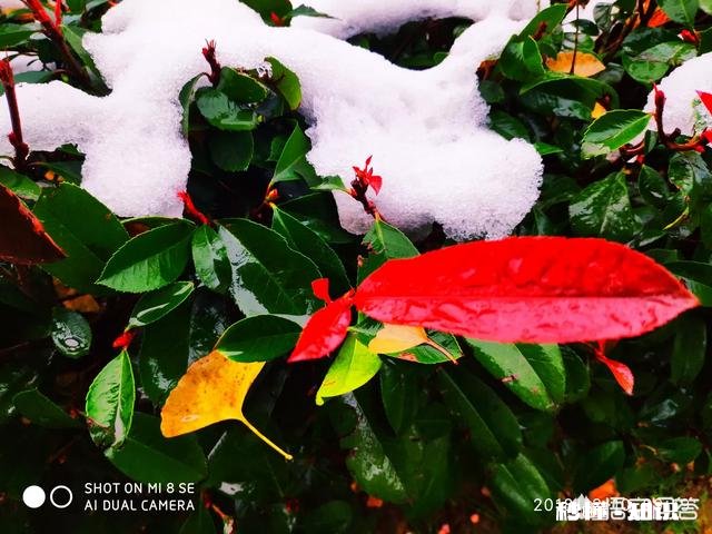 吴秀波的事要是在三妻四妾的古代会是怎样了,小妾要分手钱合法吗?历史上有没有例子