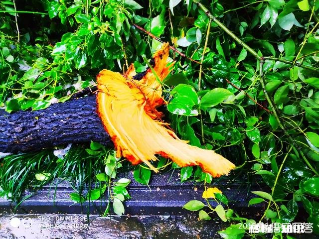 吴秀波的事要是在三妻四妾的古代会是怎样了,小妾要分手钱合法吗?历史上有没有例子