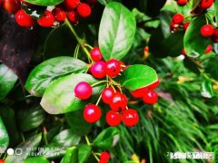 吴秀波的事要是在三妻四妾的古代会是怎样了，小妾要分手钱合法吗?历史上有没有例子