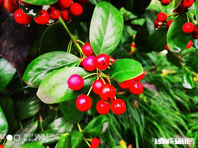 吴秀波的事要是在三妻四妾的古代会是怎样了,小妾要分手钱合法吗?历史上有没有例子