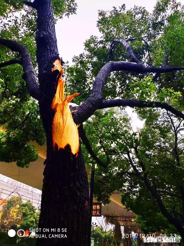 吴秀波的事要是在三妻四妾的古代会是怎样了,小妾要分手钱合法吗?历史上有没有例子