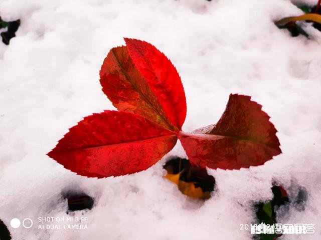 吴秀波的事要是在三妻四妾的古代会是怎样了,小妾要分手钱合法吗?历史上有没有例子