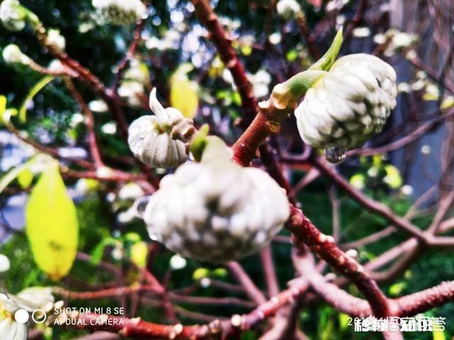 吴秀波的事要是在三妻四妾的古代会是怎样了,小妾要分手钱合法吗?历史上有没有例子