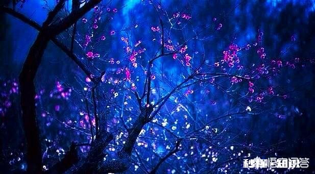 吴秀波的事要是在三妻四妾的古代会是怎样了,小妾要分手钱合法吗?历史上有没有例子