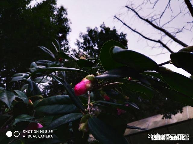 吴秀波的事要是在三妻四妾的古代会是怎样了,小妾要分手钱合法吗?历史上有没有例子