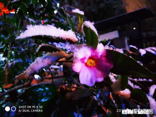 吴秀波的事要是在三妻四妾的古代会是怎样了,小妾要分手钱合法吗?历史上有没有例子