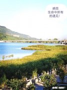 人为什么活，又为什么死，为谁活，又为谁死