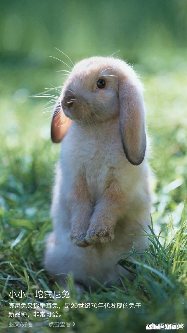 明知道接下来哪里要花钱、花多少，但是钱却不够，应该怎么办