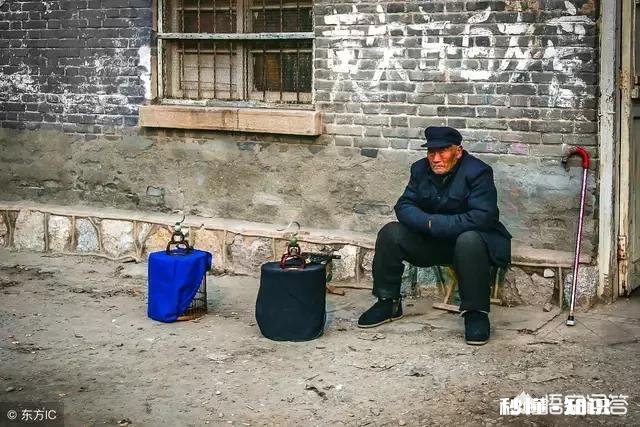 如何看待夫妻“北漂”十年，在四川老家安监控“陪”留守孩子和父母