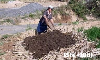 你知道北方和南方自做肥料的方法吗