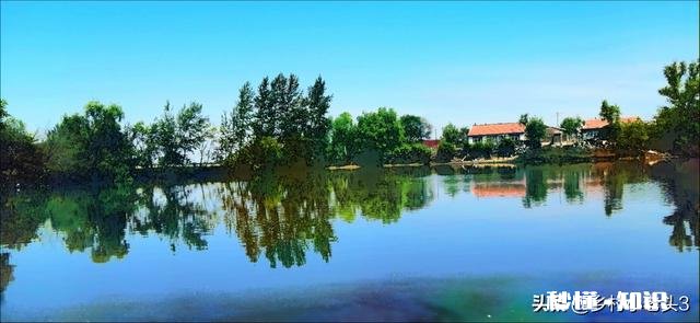 你知道北方和南方自做肥料的方法吗