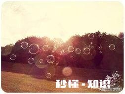 你觉得,什么时候该放下了