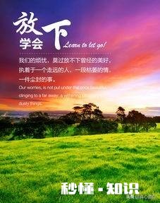 你觉得,什么时候该放下了