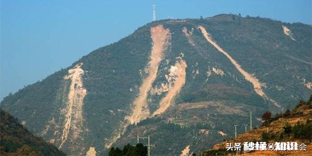 在城市发展的不理想，想搞肉牛养殖，家里人不同意，怎么办