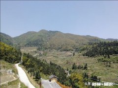 在城市发展的不理想，想搞肉牛养殖，家里人不同意，怎么办