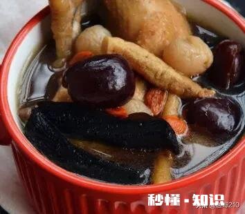 灵芝和鸡煲汤可以吗