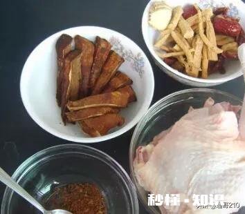 灵芝和鸡煲汤可以吗