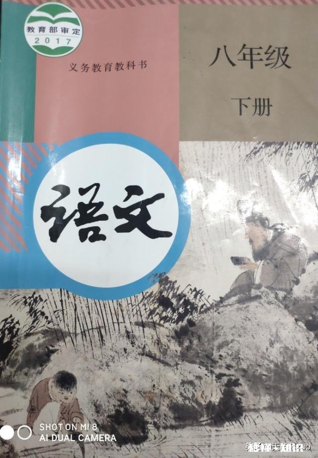 见下方 我现在初二，怎样提高语文成绩