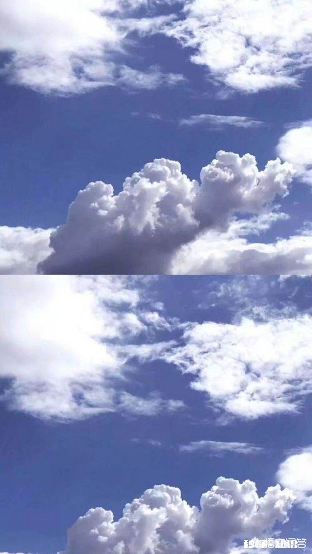 《比悲伤更悲伤的故事》为何让人痛哭流涕