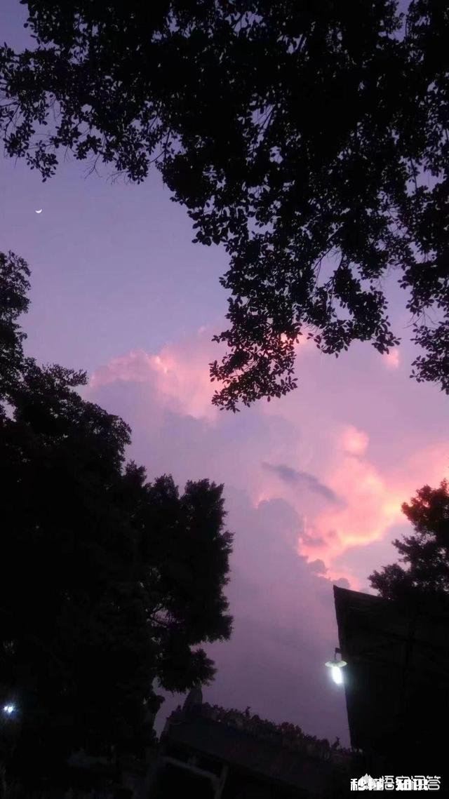 《比悲伤更悲伤的故事》为何让人痛哭流涕