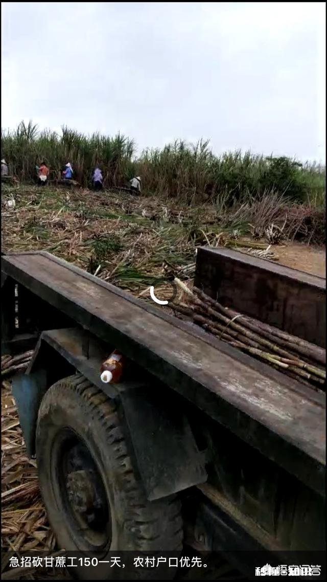 你印象中的农村是什么样的