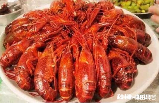 自己在家鱼缸能养龙虾吗