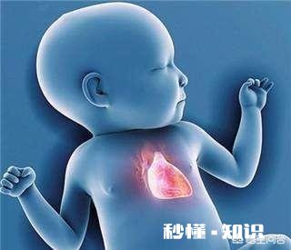 怀孕生男孩，胎心率是每分钟多少下怀孕时应注意什么